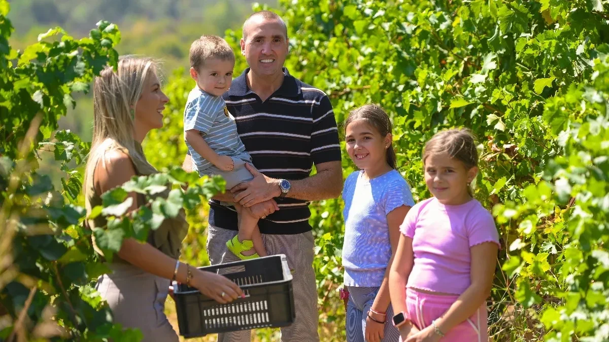 U susret sajmu Wine Vision by Open Balkan 2026 - Od čokota, iz ljubavi, za generacije: sigurnost od vinograda do boce
