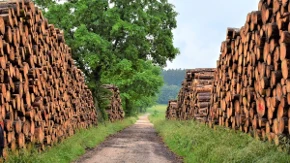 Gotovo polovina građana Srbije greje se na drva i pelet - koje je najjeftinije, a koje najskuplje grejanje