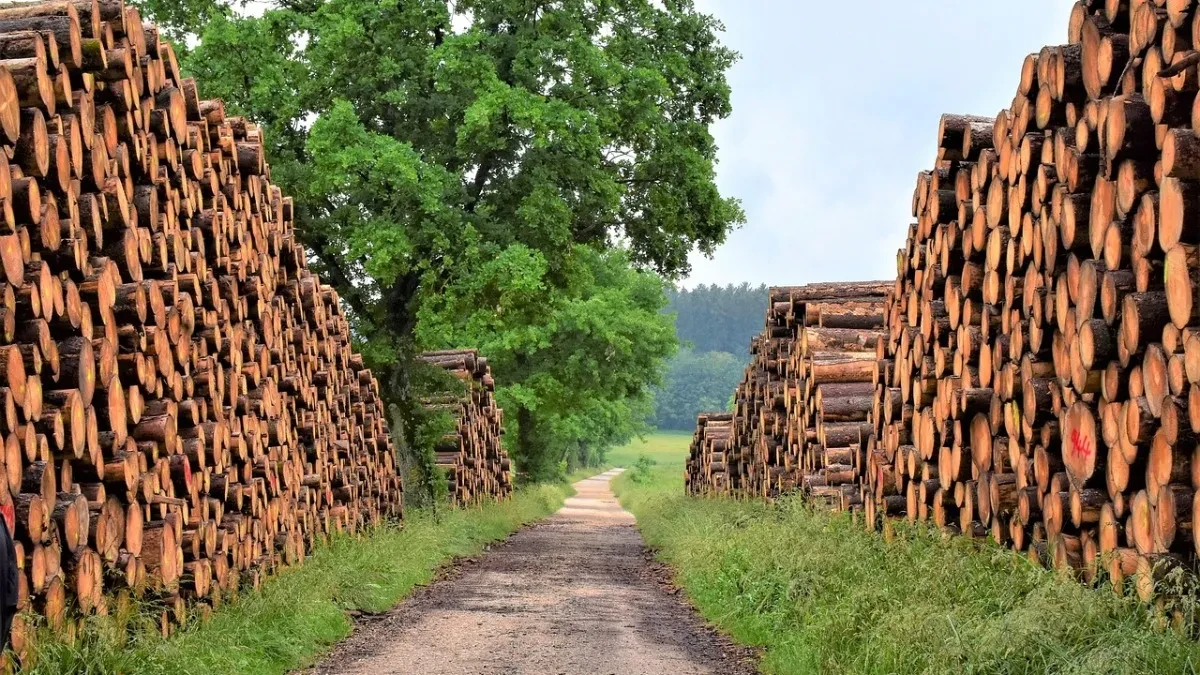 Gotovo polovina građana Srbije greje se na drva i pelet - koje je najjeftinije, a koje najskuplje grejanje