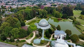 Džungla usred Evrope može se posetiti samo jednom godišnje - karte brzo planu