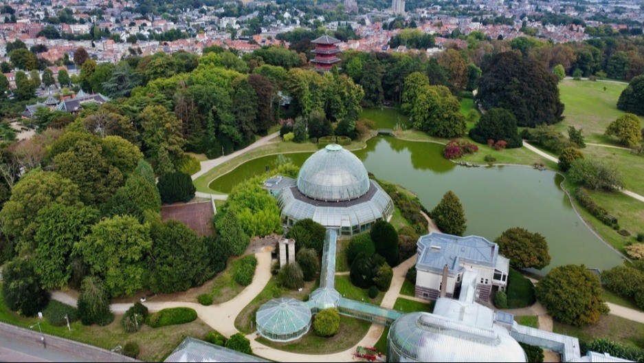 Džungla usred Evrope može se posetiti samo jednom godišnje - karte brzo planu