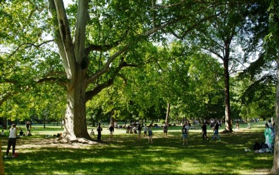 Država izdvojila 300 miliona dinara za navedenu namenu - evo ko može da se javi na konkurs 