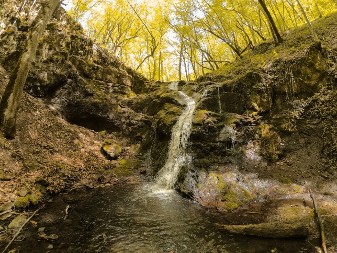 Srpska banja bolja od Karlovih Vari - lekovita je, u nju se ide po preporuci