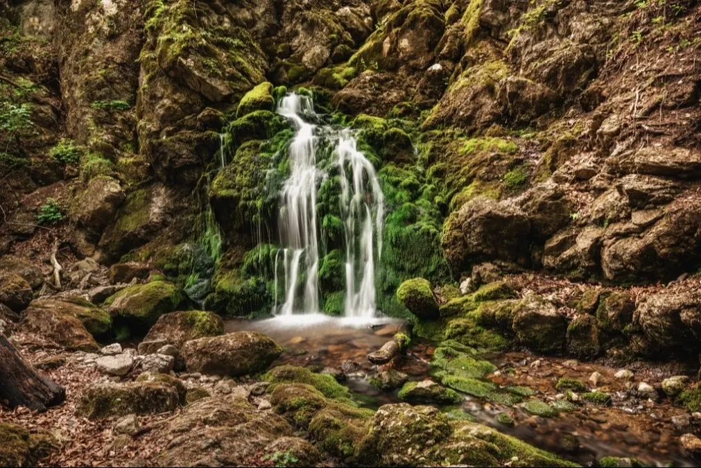 Srpska prestonica sremuša - Taorska vrela izbijaju iz pećine i otkrivena su slučajno