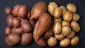 Jedinstvena kriza drma Evropu - krompira ima toliko da proizvođači plaćaju da ga se reše