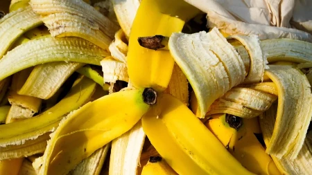 Svi bacamo kore od banane, a vrede suvog zlata - oni ih sakupljaju i zarađuju milione