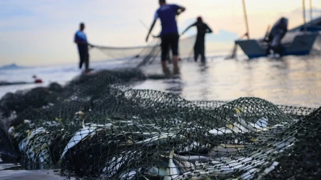 Ribari u teškim mukama - od 13.000 do 30.000 evra nedeljno, troškovi ubili profit, stiže pomoć 