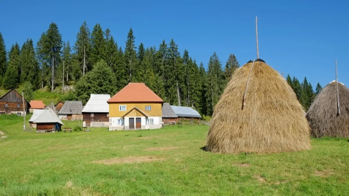 Napuštaju gradove - sve više mladih bira život na selu, potpisani ugovori za 111 kuća