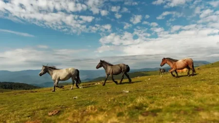 Gde za Prvi maj bez gužve - skrivena mesta u Srbiji koja oduzimaju dah