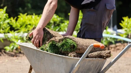 Zarada je vrhunska, a malo ko u Srbiji to radi - istina, zahteva dosta truda