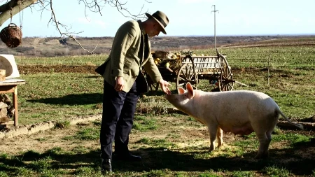 Danas skuplje, sutra jeftinije - na stočnoj pijaci rolerkoster, cene stoke skaču i padaju