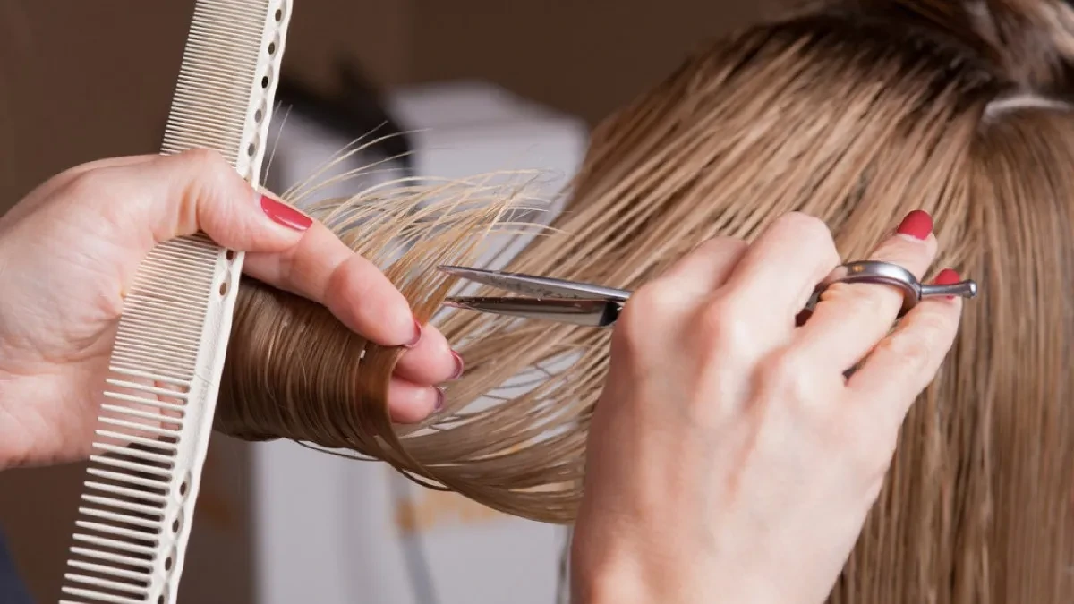 Cena ide i do 1.000 evra - ko ima para, imaće i frizuru, Hrvati odustaju od frizera