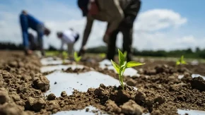 Srbija i Emirati u projektu vrednom 97 miliona evra