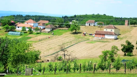 Vlada Srbije pokrenula novi program za sela - domaćinstva mogu da dobiju u do 25 hiljada evra za navedene namene 