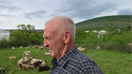 U Nemačkoj je zaradio penziju, pa se vratio u Hercegovinu da čuva 500 ovaca