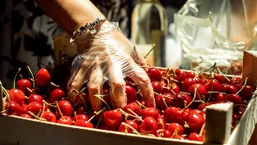 Trešnje poskupele, lubenica pojeftinila - pijace u Srbiji beleže nagle promene cena