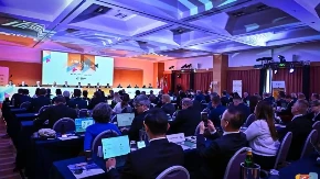 Delegacija Plesnog saveza Srbije na zasedanju WDSF u Rimu – Srbija dobila visoko priznanje za organizaciju Evropskog prvenstva