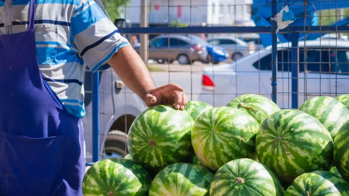 Kupcima ih prodaju kao domaće - lažne lubenice preplavile Hrvatsku