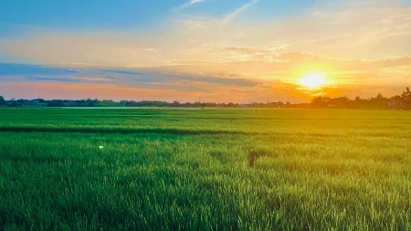 Srbija pokreće novi zakon o komasaciji zemljišta - šta se menja u poljoprivredi
