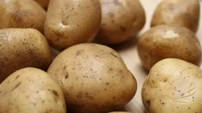 Sok od krompira postaje industrijska sirovina