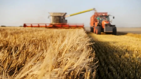 Ratari u iščekivanju - cena žitarica zavisi od jednog ključnog faktora 