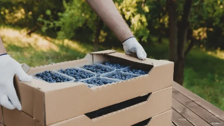 Hitno traže radnike - za nekoliko nedelja može lepo da se zaradi 