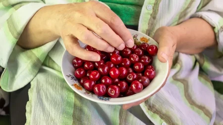 Cena trešanja u Srbiji pala na 160 dinara - koštale su oko 1.500 RSD