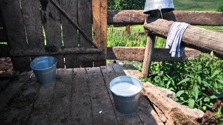 Stočari mogu da se prijave - počeo novi krug isplate premija za mleko
