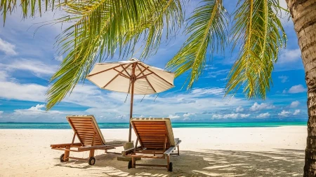 Skriveni raj nadomak Beograda - za samo nekoliko stotina dinara uživate u peščanoj plaži, kupanju i odmoru