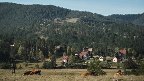 Kuća sa placem od skoro 12 ari prodaje se za 27.000 evra - malo domaćinstvo idealno za beg od gradske gužve