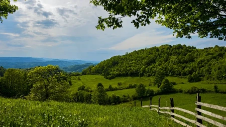 Ko ne ide na more, beži na planinu - kafa sa ratlukom 150 dinara, lepinja sa kajmakom 350
