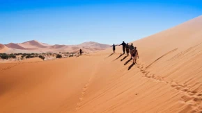 Pustinja na 50 stepeni postala raj za grožđe - Srbin pokrenuo poljoprivrednu revoluciju u Namibiji