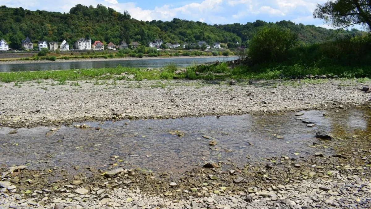 Nemačkoj preti potpuni prekid rečnog teretnog saobraćaja - Rajna je previše niska