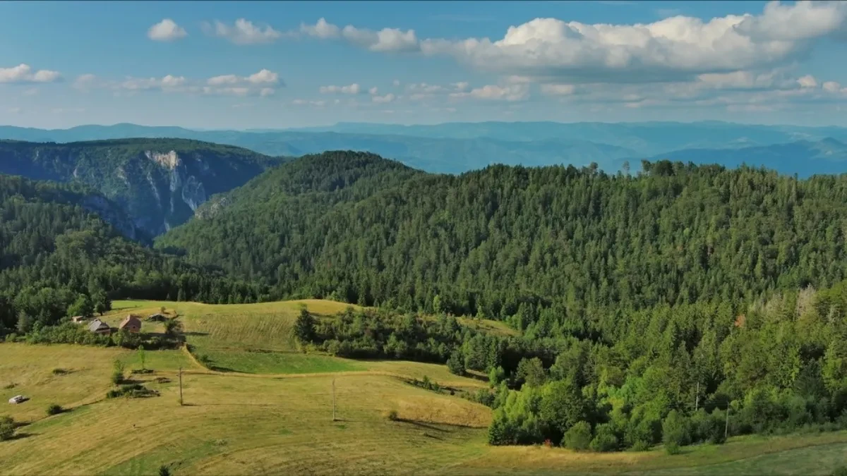 Došli iz Pariza u srpsko selo, pa se oduševili -  "Najlepše koje smo do sada videli"