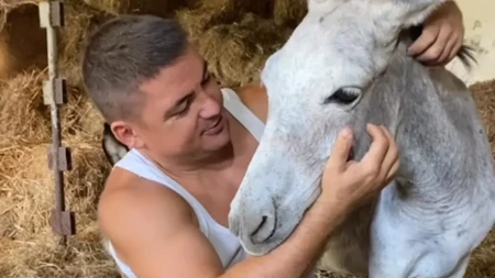 "Uplati 300 evra za bolesno dete i dobije magarca" - neobična akcija sa farme kod Sombora