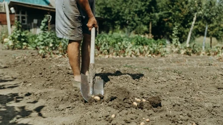 Ni prekaljeni ratari to nisu videli - i krompiri se skuvali u zemlji