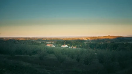 Prodaje se turistički kompleks na Fruškoj gori - pet brvnara i kapacitet za 30 gostiju