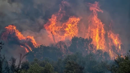 Bilans požara u Evropi - izgorelo skoro pola miliona hektara zemljišta, šteta preko tri milijarde evra 