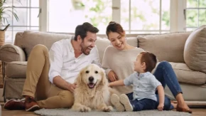 Stižu stroža pravila za vlasnike životinja - kazne idu do 2 miliona dinara