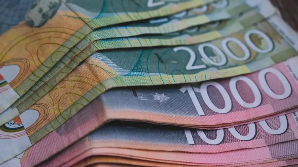 Bez jedne potvrde može biti obustavljena penzija - rok je septembar 