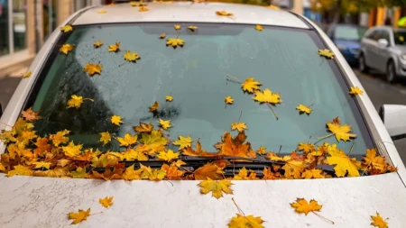 Lišće može prouzrokovati skupu štetu na automobilu
