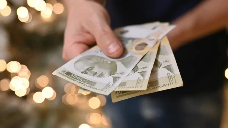 Srbija daje do 12.000 evra - ko može da dobije subvenciju i za šta se novac koristi