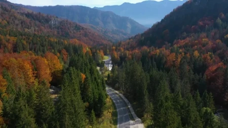 Plate idu i do 5.000 evra - mala evropska zemlja nudi sjajne uslove za rad
