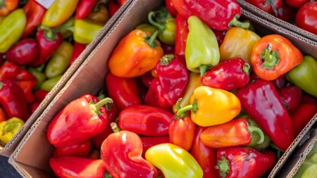Kupili 49 kilograma paprika za ajvar, tek kad su stigli kući, shvatili su podvalu