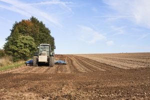 SRBIJA OBARA REKORDE  Sporazum sa Kinom otvara najveća tržišta za poljoprivrednike i izvoz