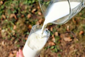 VISOKE CENE HRANE U NEMAČKOJ Većina namirnica je skuplja za oko 20 odsto – mleko drži rekord