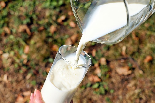 ZA ZAŠTITU DOMAĆEG PROIZVOĐAČA Danas kreće isplata subvencija svim mlekarima