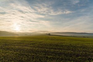 CENA PO HEKTARU ČAK 30.000 EVRA Gde se u Srbiji krije najvrednije poljoprivredno zemljište