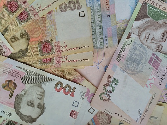 NOVA ODLUKA ZA BOLJU EKONOMIJU Centralna banka Ukrajine smanjila nacionalnu valutu za 25 odsto
