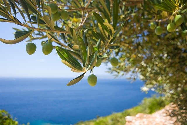 TURSKA NAPRAVILA NESVAKIDAŠNJU ODLUKU Zemlja maslina menja drvorede za rudnike na obali Sredozemnog mora